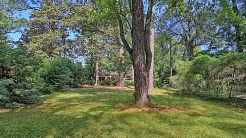 122 Talbot - 43