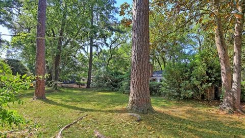 122 Talbot - 46