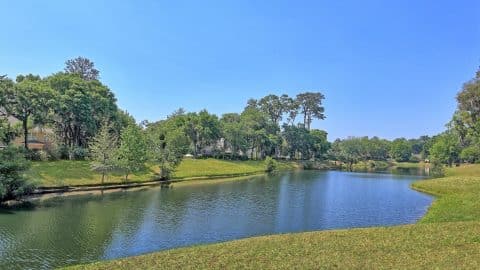 141 Grays Creek - 42.1