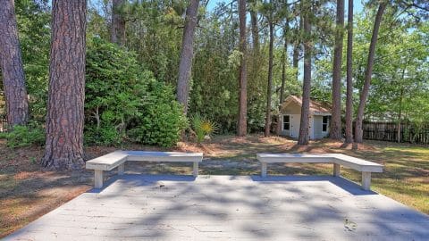 26 Sapelo - 32