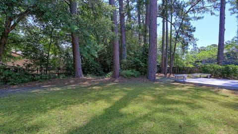 26 Sapelo - 36