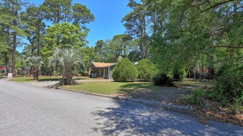 26 Sapelo - 42