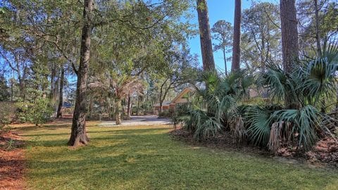 6 Leaning Oaks - 38.2