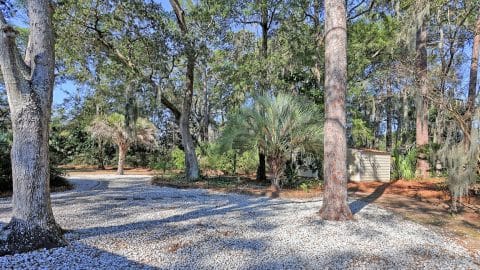 6 Leaning Oaks - 41