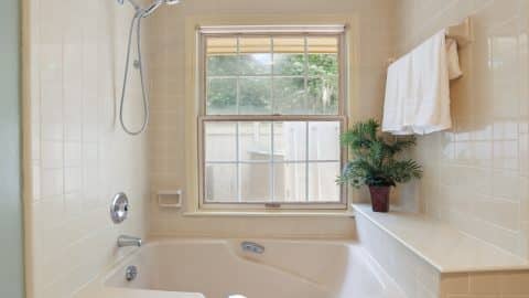 9 Magnolia - 37
