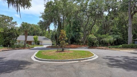 9 Magnolia - 49